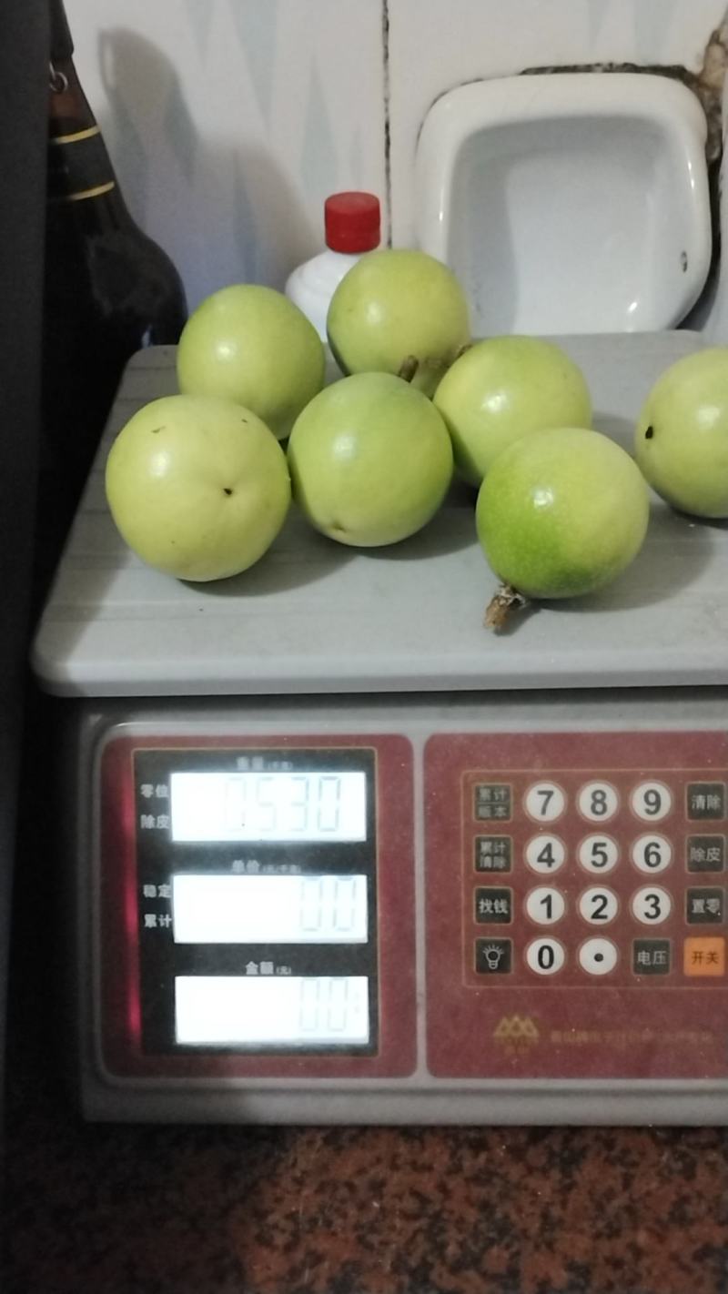黄金百香果