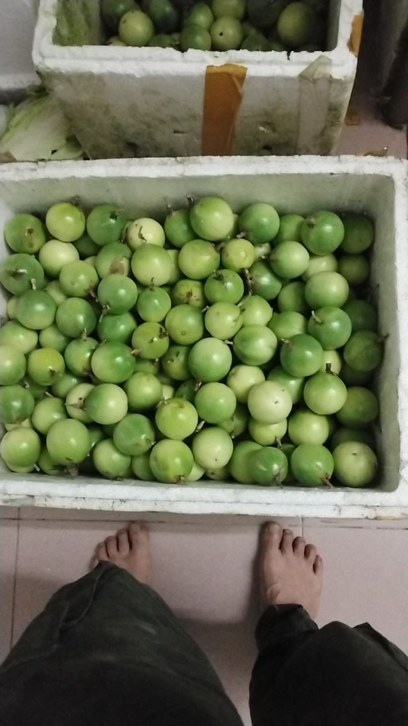 黄金百香果