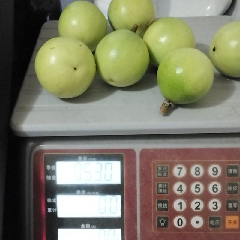 黄金百香果