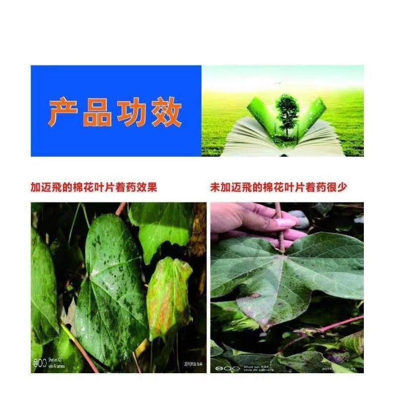 迈飛迈飞飞防专用助剂增效剂无人机飞防专用助剂抗漂移促沉降