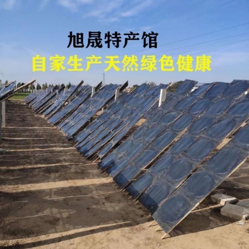 红薯粉皮小粉皮厂家自产自销欢迎咨询合作