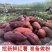 红薯粉皮小粉皮厂家自产自销欢迎咨询合作