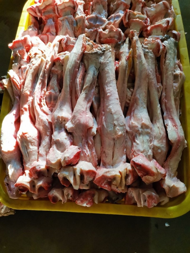 马蹄筋