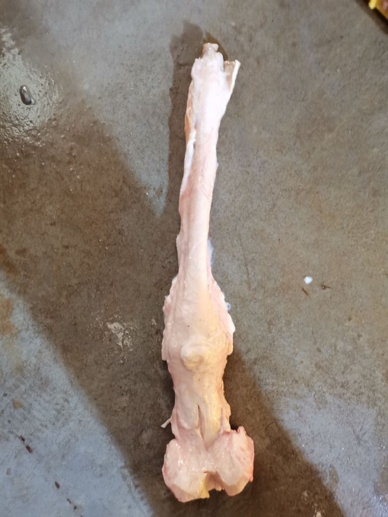 马蹄筋