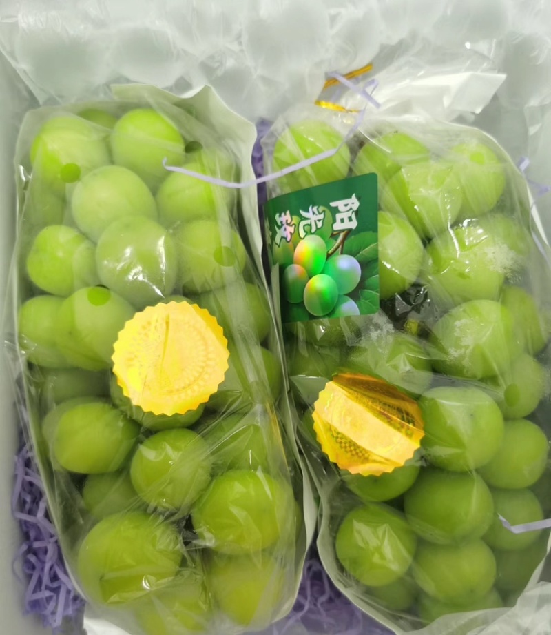 精品阳光玫瑰，场地直发，量大从优，质量保证，欢迎来电咨询