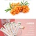 新疆野生沙棘果粉，冻干粉，一件起发包邮，质量保证