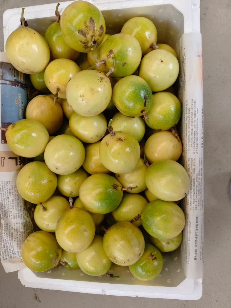 钦蜜9号黄金百香果