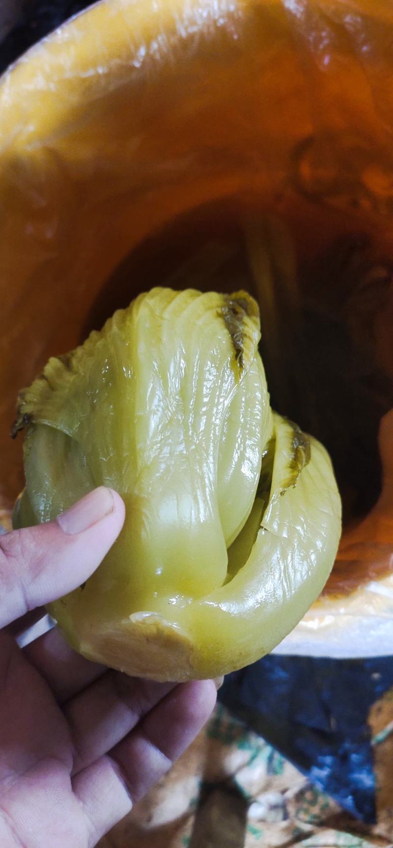 【泡菜】南宁批发桶装酸菜