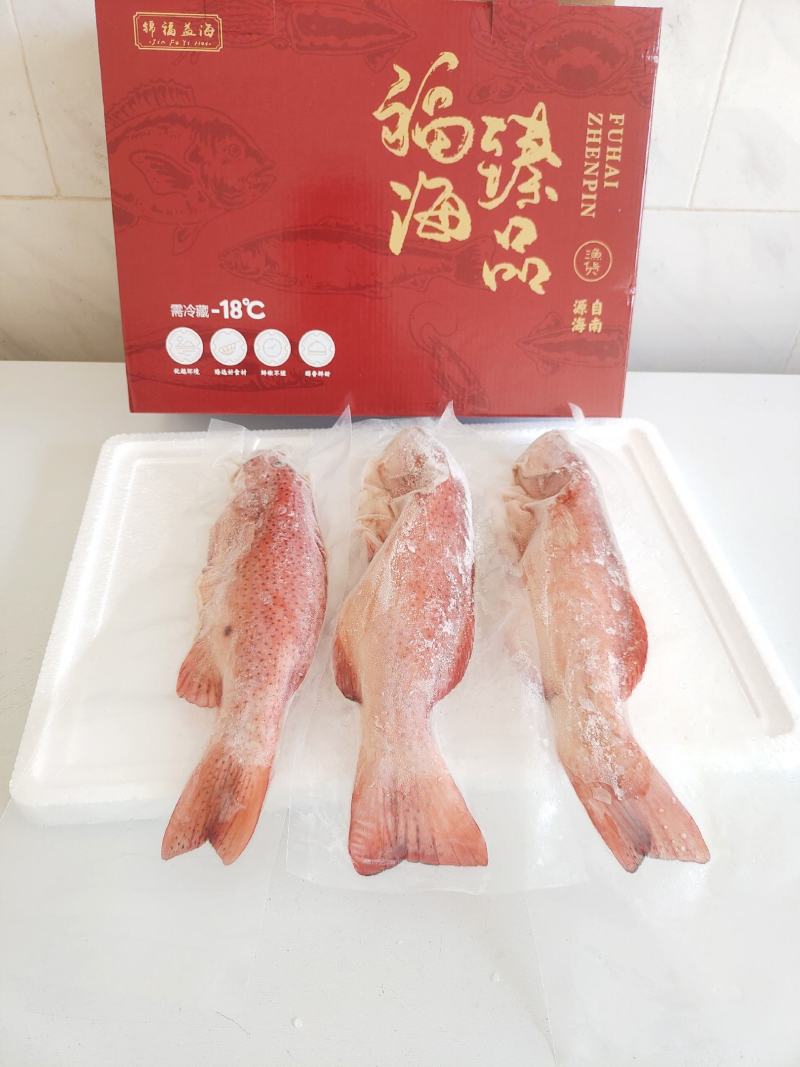 东星斑大礼包