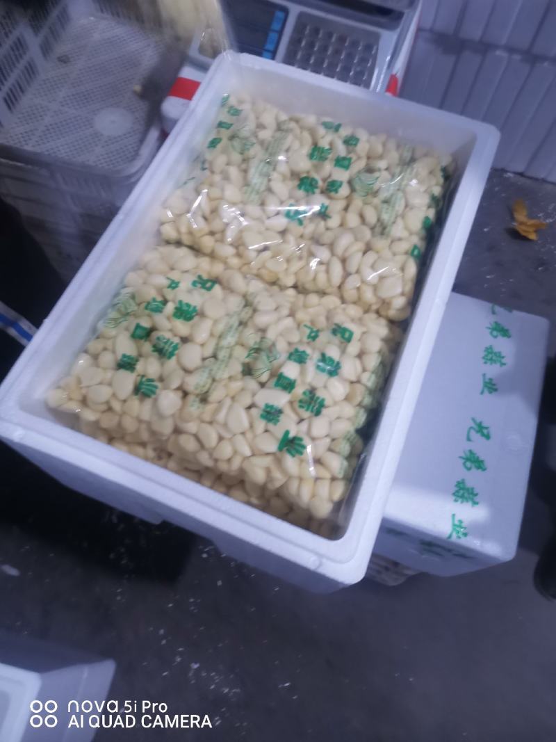 金乡优质蒜米，保质保量，货发全国，欢迎咨询诚信经营