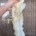 鱼胶阴阳片阴阳胶北海鳘鱼胶黄花胶阴阳公阴阳肚孕妇滋补品