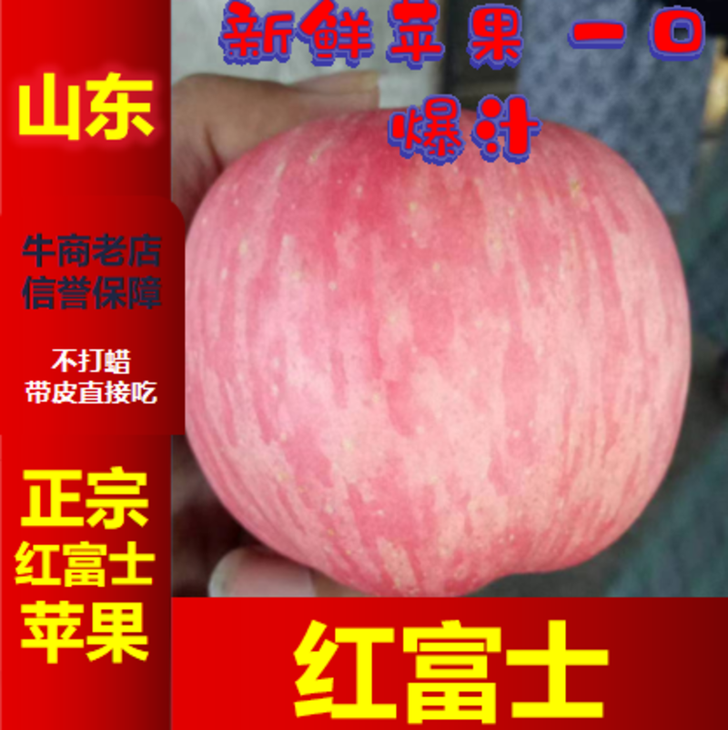 苹果红富士苹果山东产地电商团购果园现摘批发产地