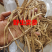 甘肃野生党参段无硫煲汤配黄芪当归批发一手货源大量供应