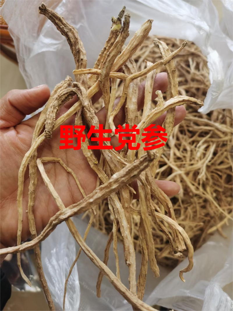 甘肃野生党参段无硫煲汤配黄芪当归批发一手货源大量供应
