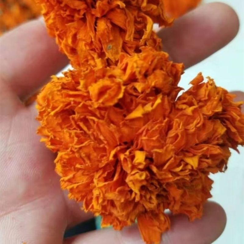 正宗万寿菊花茶天然万寿菊干花正品黄菊花干菊花大朵菊花泡
