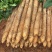 《实力》广西白玉山药广西产地粉糯淮山山药常年供应