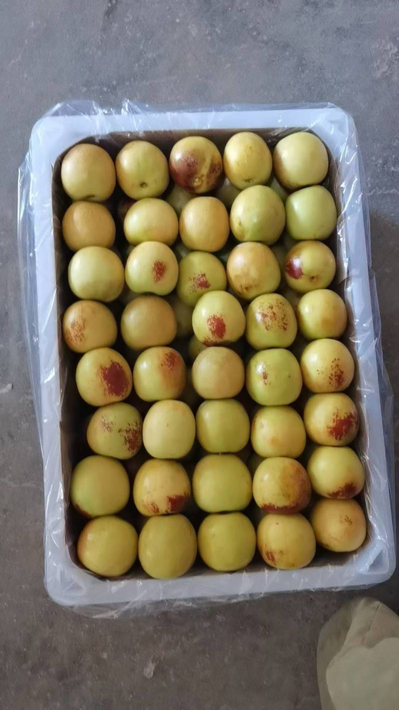 大荔冬枣大量供应中，正宗大荔冬枣，黄白带点红，无限量供应
