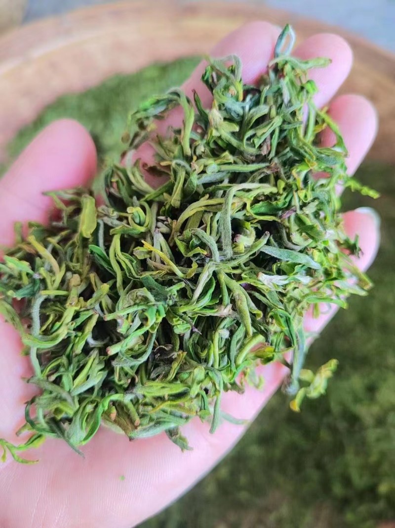 山东日照绿茶日照红茶，茶园直销，价格实惠
