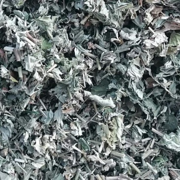 大艾段全棵切段刀工整齐供应足浴包泡澡