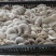 大中精品，二茬，低温菇。8129。德丰五号…以品质求存…