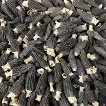 精品细纹爆干羊肚菌
