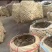 白洋淀特色野鸭蛋咸鸭蛋中秋送礼佳品个个爆油有实力的老板