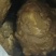 白洋淀特色野鸭蛋咸鸭蛋中秋送礼佳品个个爆油有实力的老板