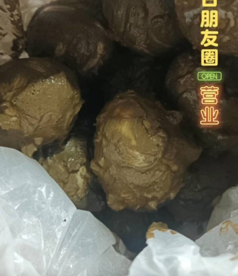 白洋淀特色野鸭蛋咸鸭蛋中秋送礼佳品个个爆油有实力的老板