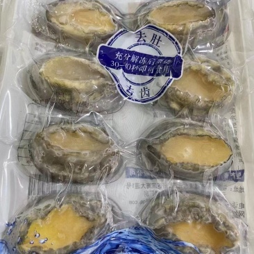 江苏连云港去肚去齿鲍鱼全国发货烧烤大咖捞汁用