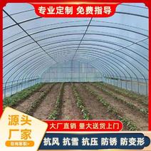 温室大棚配件全套可用于鸡鸭鹅牛羊养殖种植蔬菜大棚专业定制