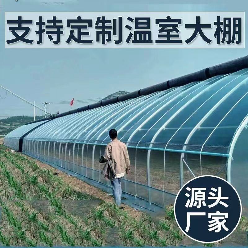 温室大棚配件全套可用于鸡鸭鹅牛羊养殖种植蔬菜大棚专业定制