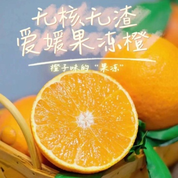 四川爱媛果冻橙38号目前已经开始上市了，支持一件代发