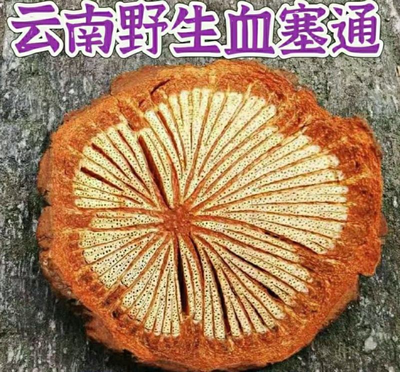 血藤血塞通中药材野生大血藤片泡水泡茶煲汤保质保量