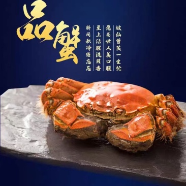 【一件代发】辽宁公盘锦河蟹新鲜肥美自家养殖五斤装各种规格