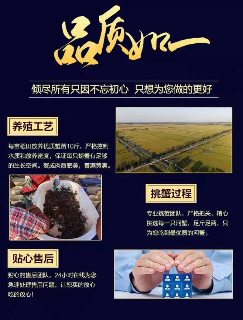 【一件代发】辽宁公盘锦河蟹新鲜肥美自家养殖五斤装各种规格