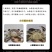 【一件代发】辽宁公盘锦河蟹新鲜肥美自家养殖五斤装各种规格
