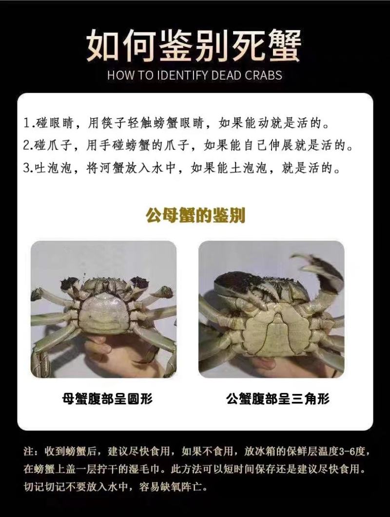 【一件代发】辽宁公盘锦河蟹新鲜肥美自家养殖五斤装各种规格