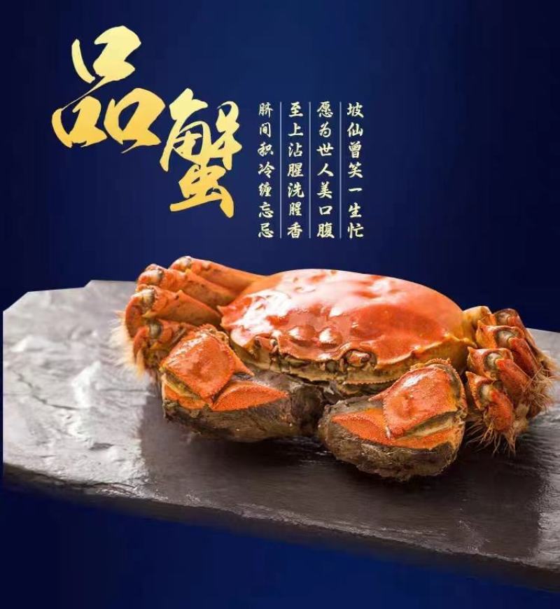【一件代发】辽宁公盘锦河蟹新鲜肥美自家养殖五斤装各种规格