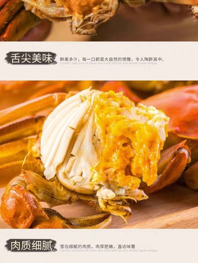 【一件代发】辽宁公盘锦河蟹新鲜肥美自家养殖五斤装各种规格