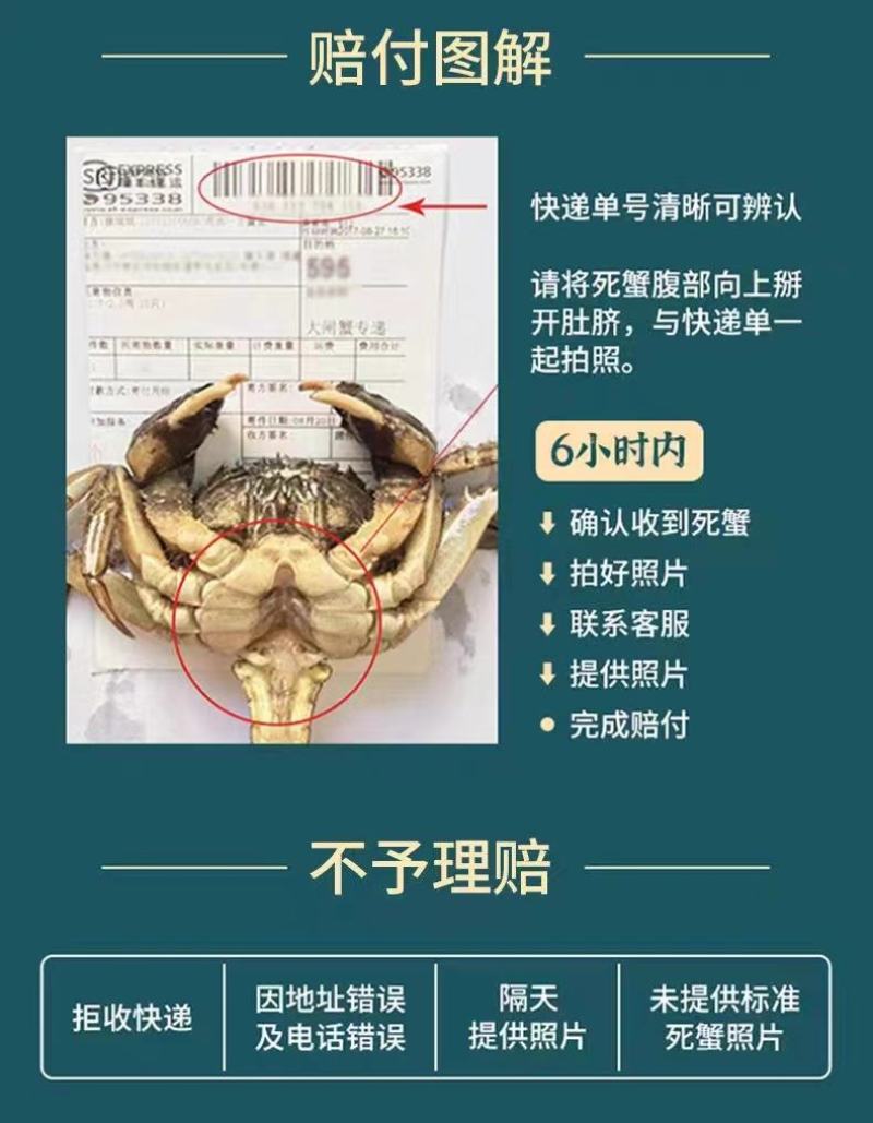 【一件代发】辽宁公盘锦河蟹新鲜肥美自家养殖五斤装各种规格