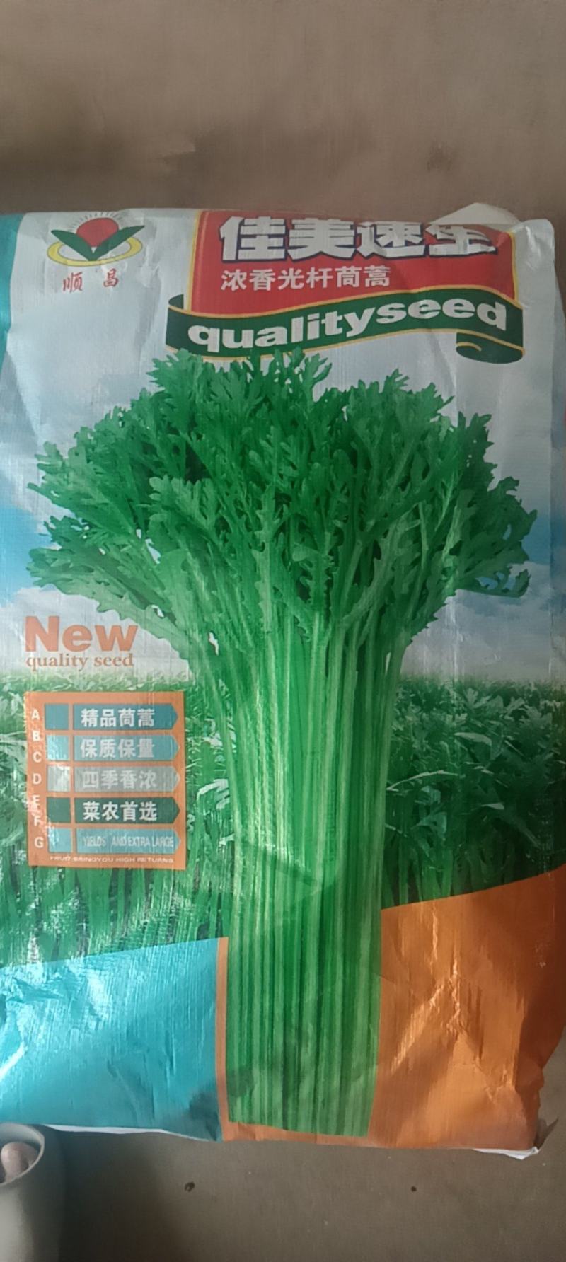 精品光杆茼蒿种子出芽率高根系发达长势快产量高绿杆清秀