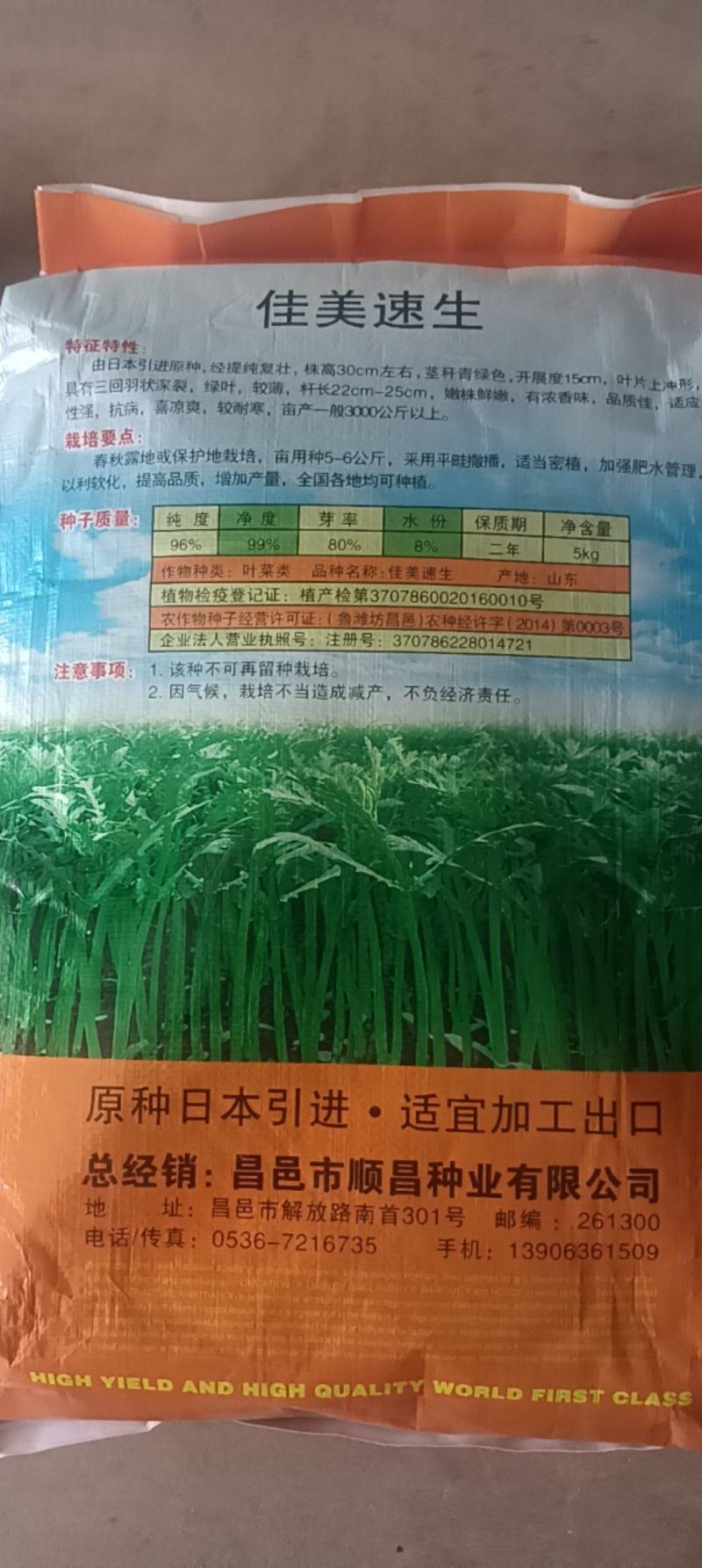 精品光杆茼蒿种子出芽率高根系发达长势快产量高绿杆清秀