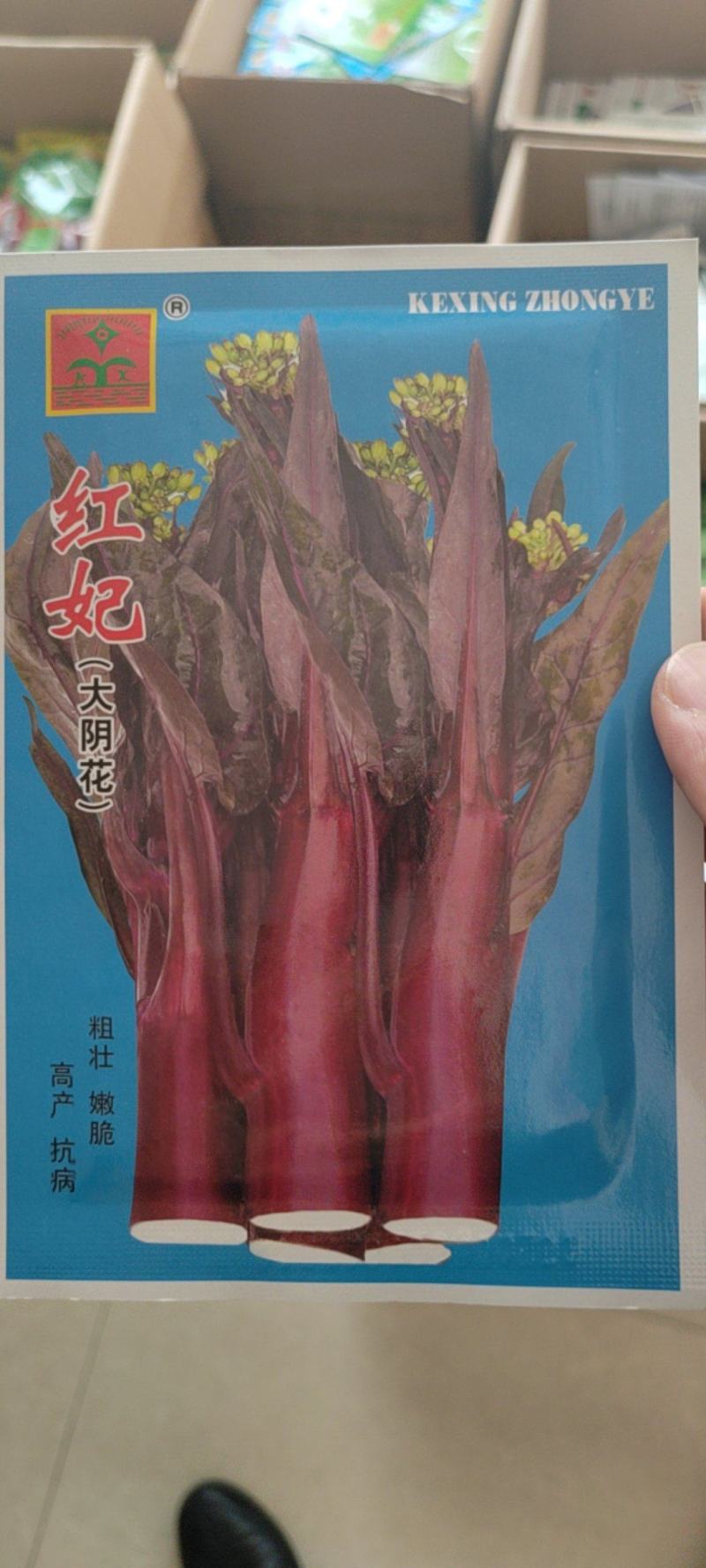 大阴花红菜苔种子红油菜苔种子厂家直销包邮到家