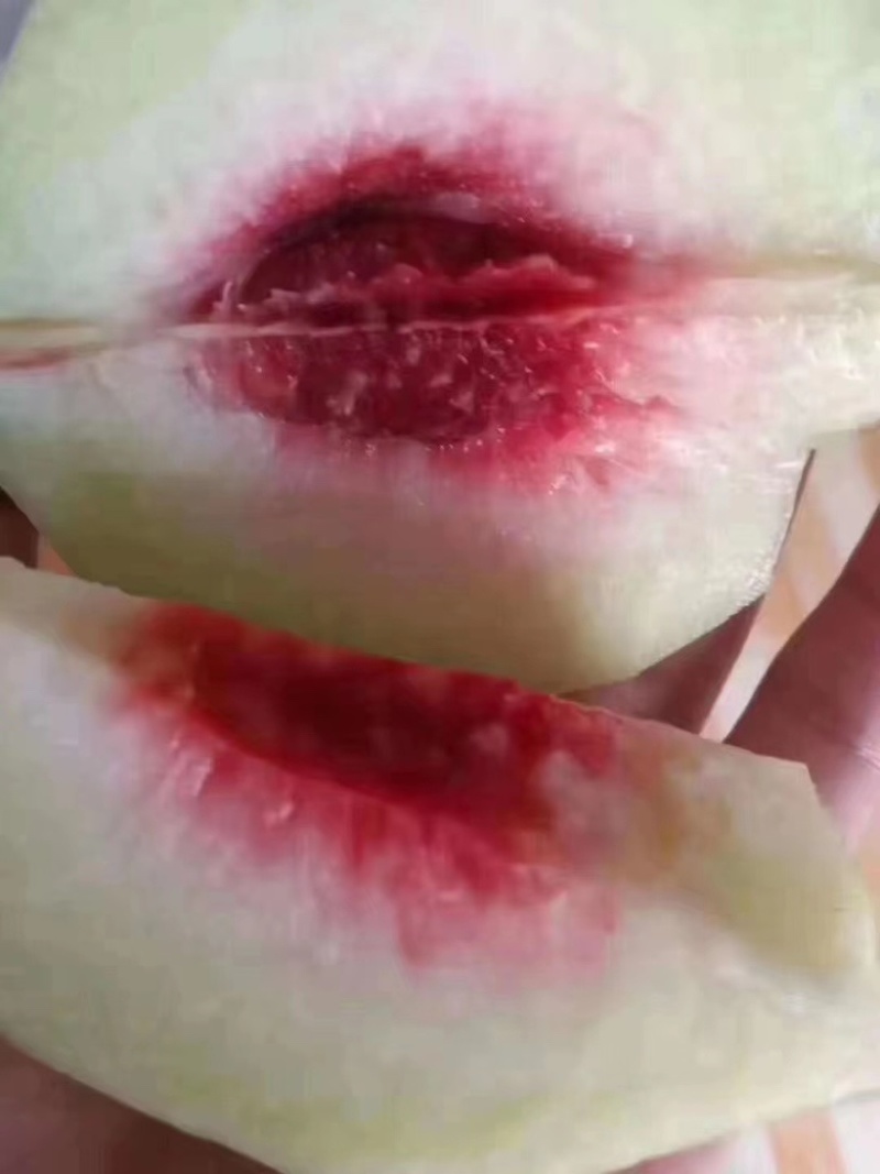 青桃青脆大量有货