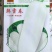 长白萝卜种子韩国萝卜种子耐寒萝卜种子脆嫩多汁白玉春