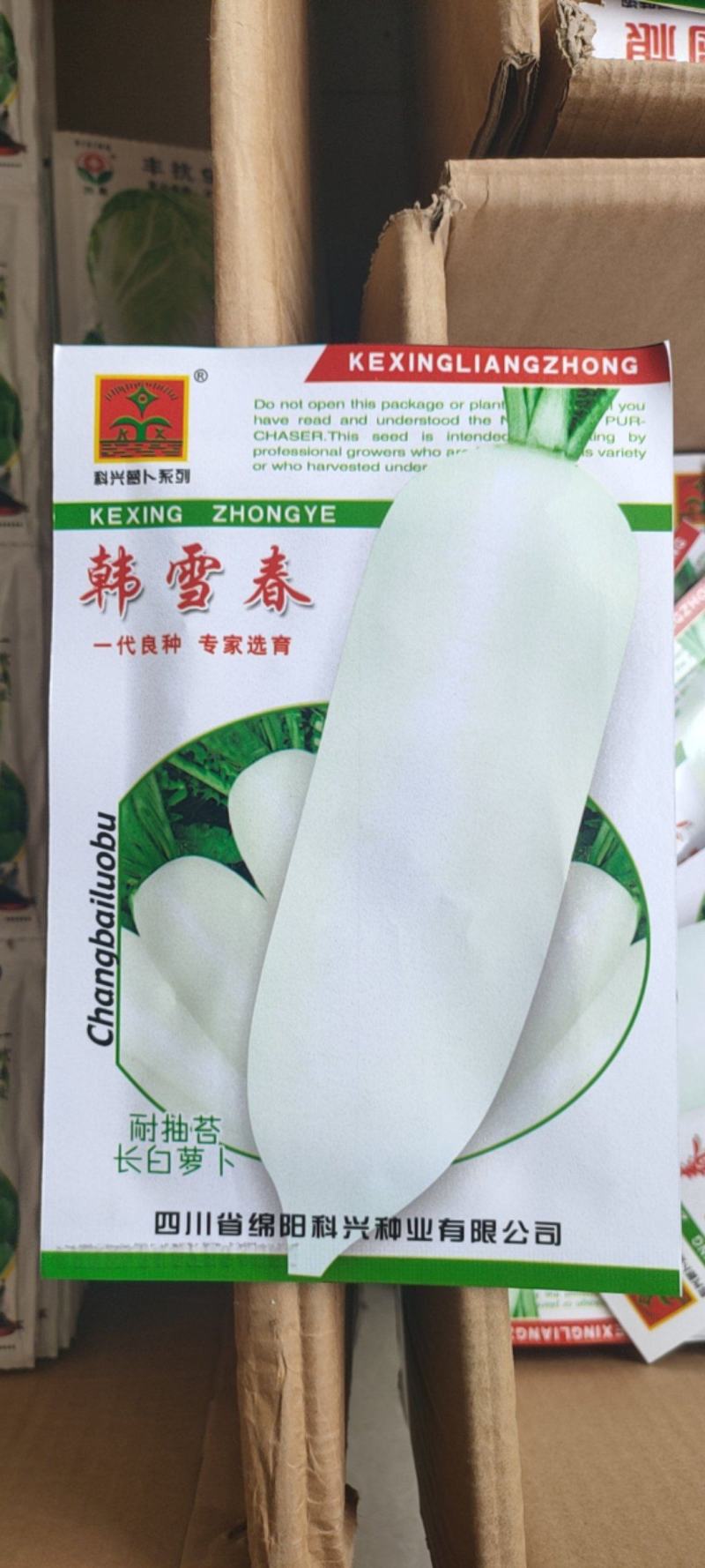 长白萝卜种子韩国萝卜种子耐寒萝卜种子脆嫩多汁白玉春