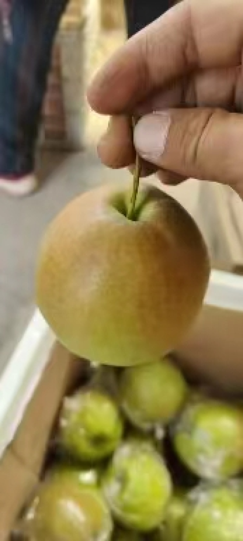 【玉露香梨】山西梨子玉露香梨山西酥梨品种多规格齐全量大