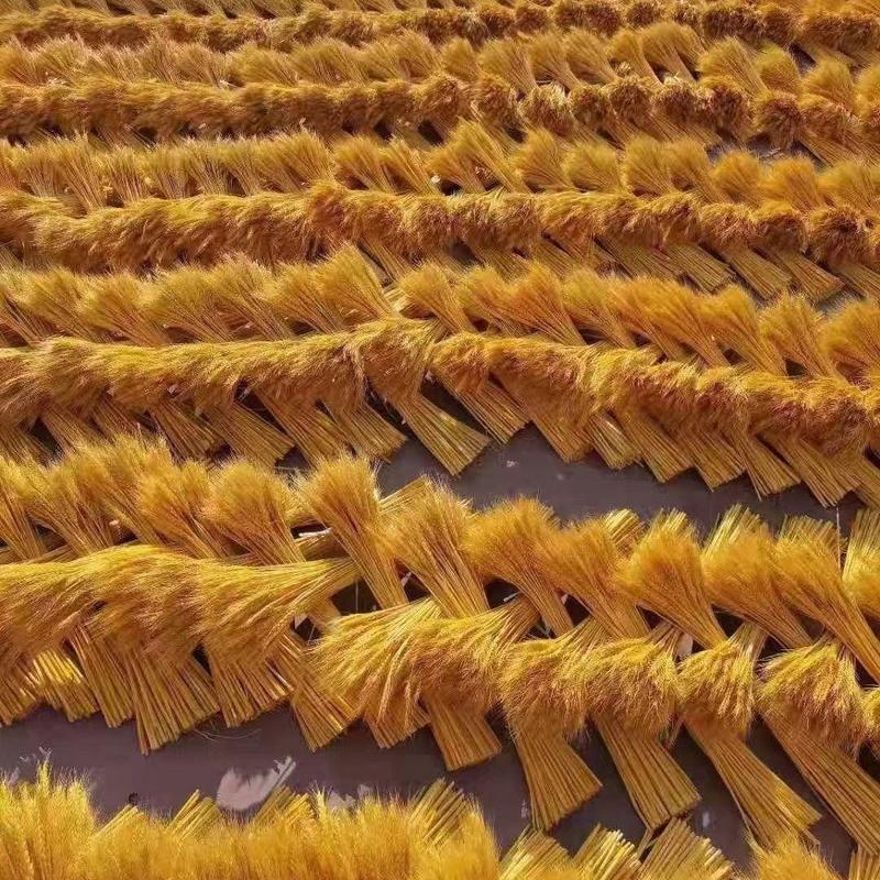 精品黄金大麦开业大麦天然干花花束开业摆件厂家批发一整箱麦