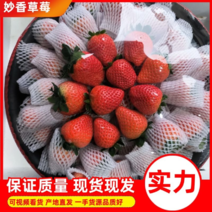 妙香草莓精准货源，现摘现发，对接全国客商支持看货