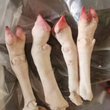 羊蹄，